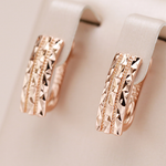 Elegante Ohrringe in Gold