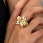 Sonnenaufgang Blume Gold